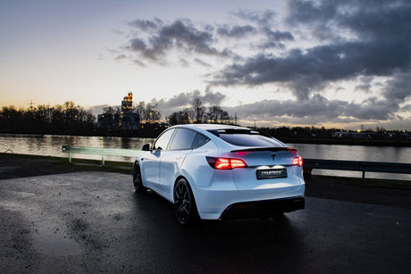 LED Tail lights for Tesla Model 3 & Model Y